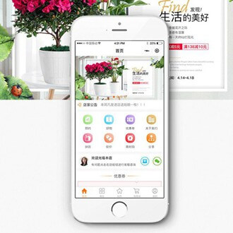 赫章门店微商城小程序开发