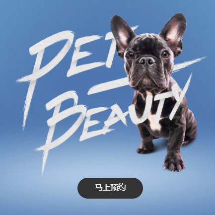 赫章宠物中心小程序开发