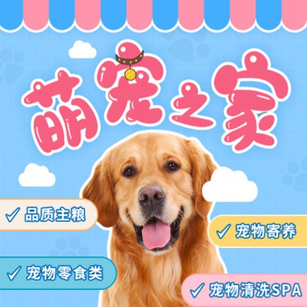 赫章萌宠之家小程序开发